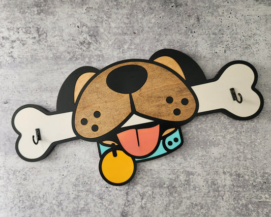 Dog Leash Hanger | Erin 'Spirational Crafts
